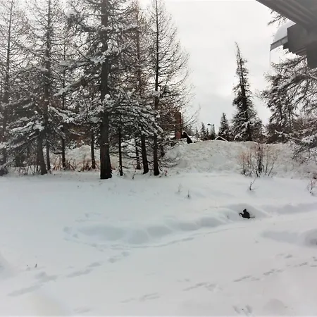 Casa-foret Blanche Splendid 13p *